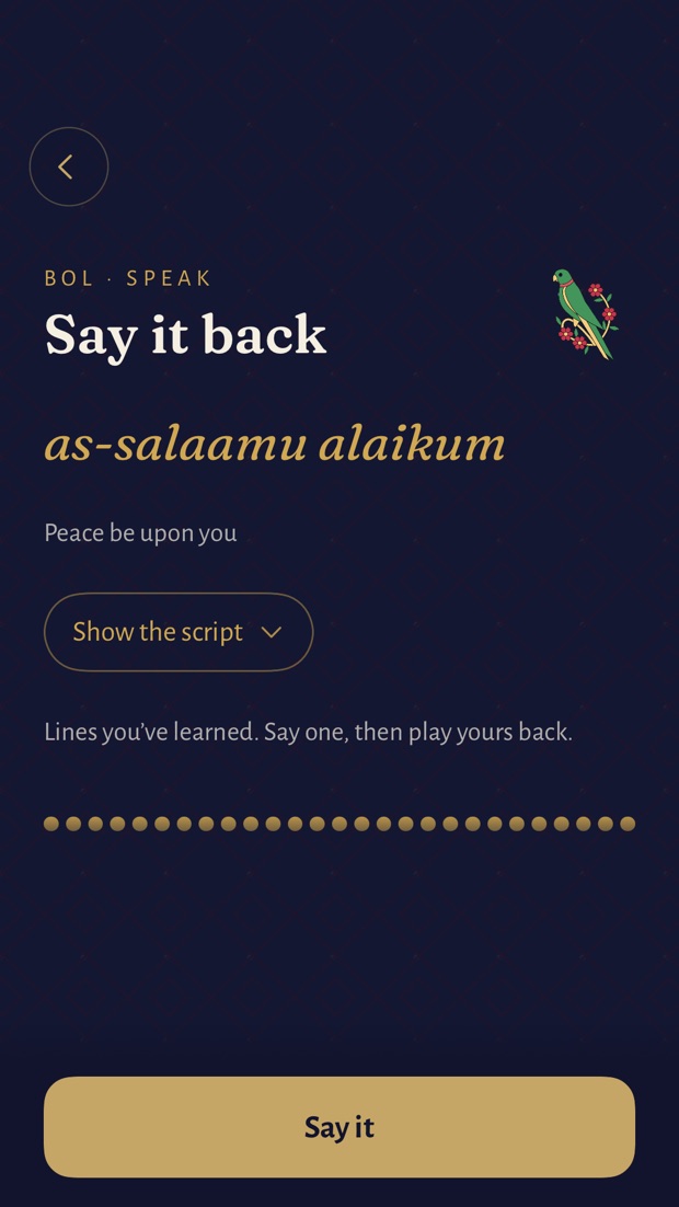 The Speak screen: say it back, a transliteration, and a Say it button.